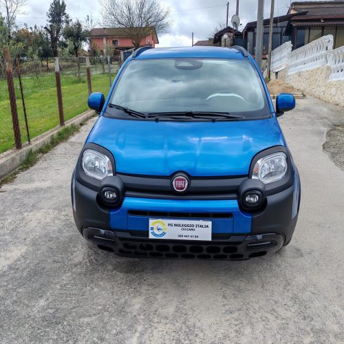 Pandina Cross 1.0 firefly hybrid s&s 70c